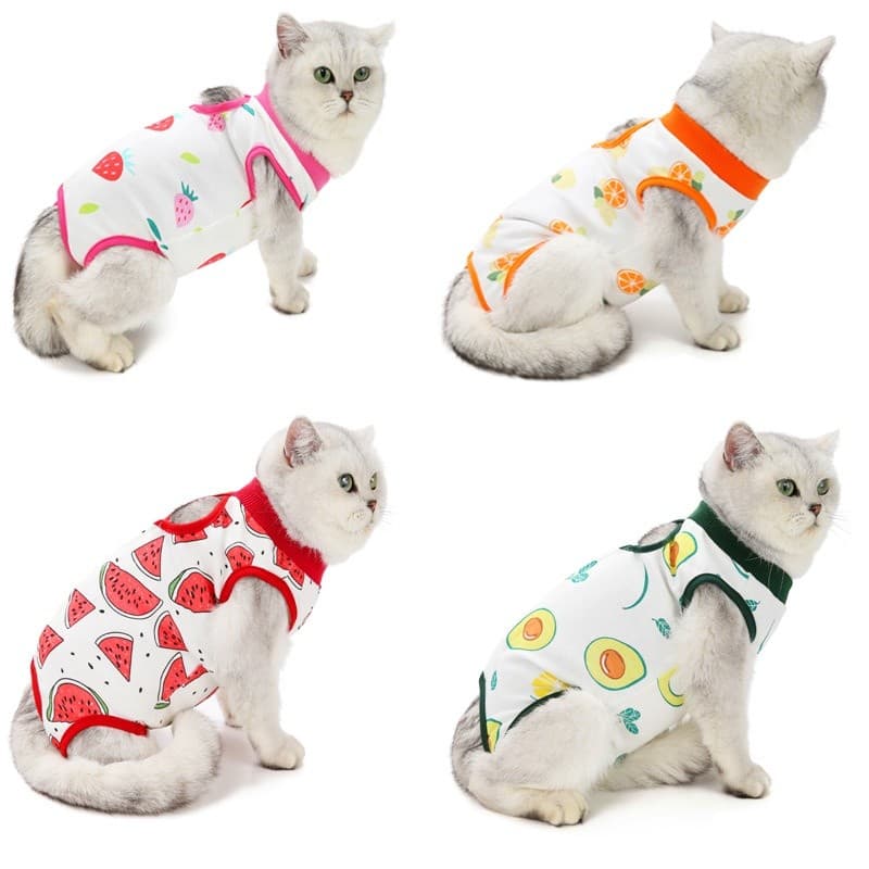 Roupa Pós-cirúrgica Gatos e Cão para Cachorro Pequeno Com Velcro