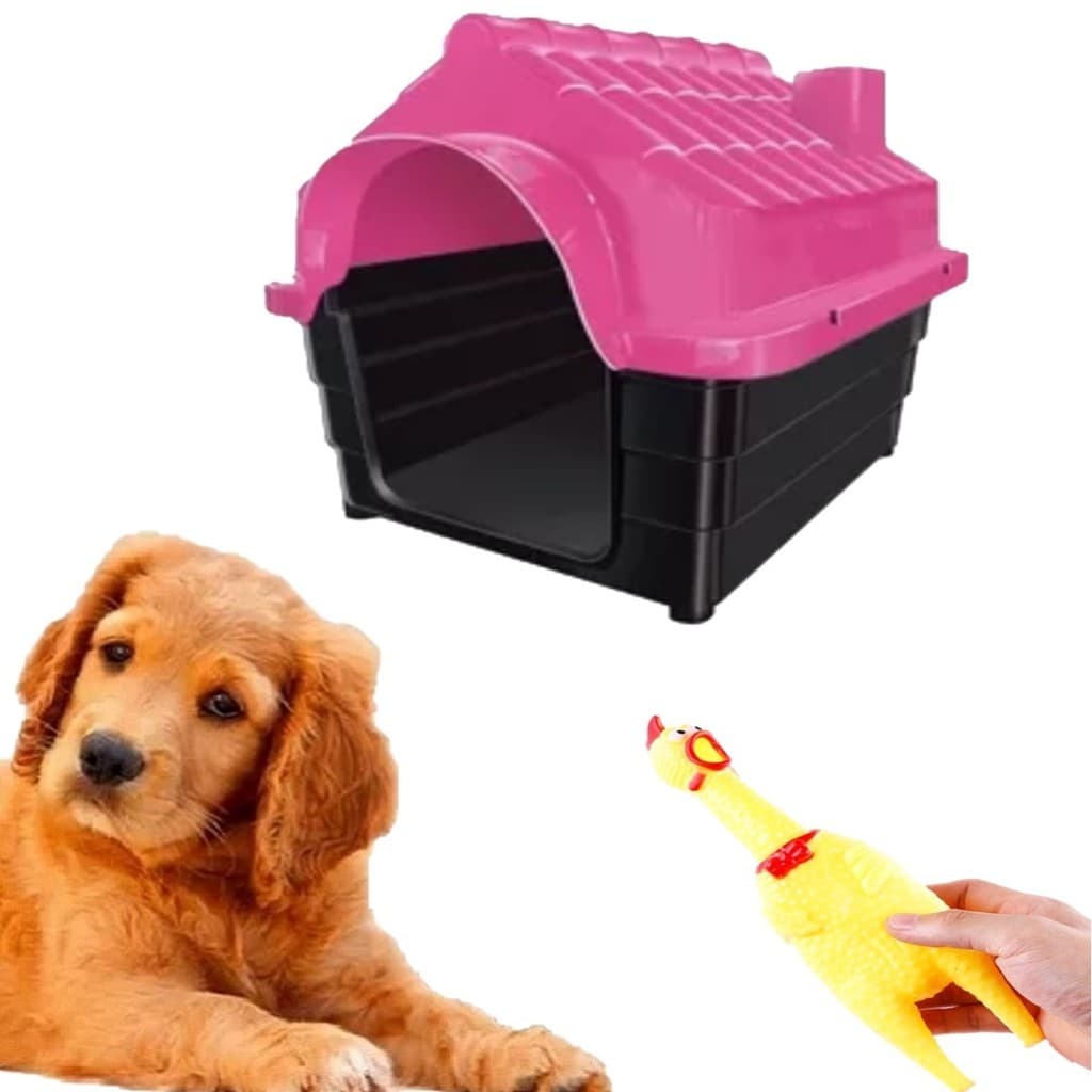 Mordedor Galinha Pet Interativo + Casinha Rosa Pet N3 Dog