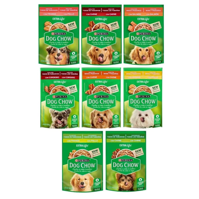 Kit Sache Dog Chow 100 Gr