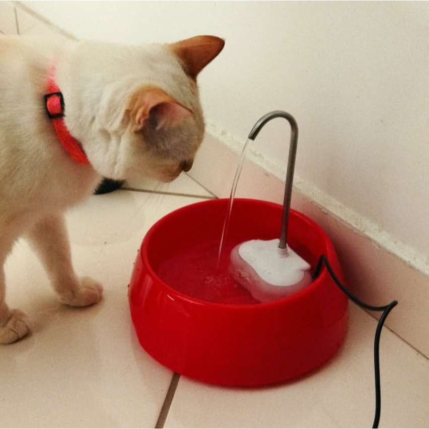 Fonte Tigela Cães Recipiente Filtro Bebedouro Gatos Automático Água Rachão Pote Vasilha Passeio Pet