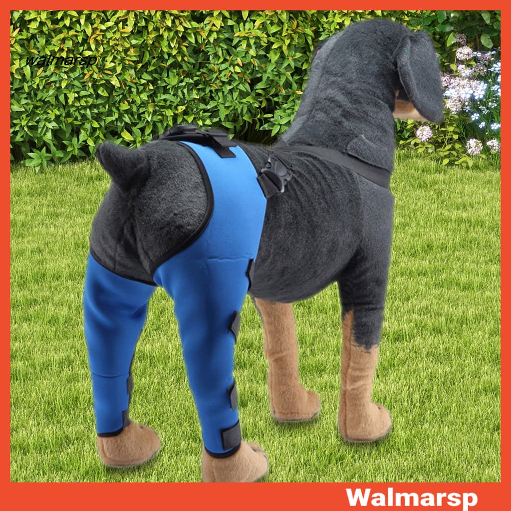 [WMP] Joelheira Para Animais De Estimação Suporte Pernas De Cachorro Ajustável Lesões Acl Luxante Patela Osteoartrite De
