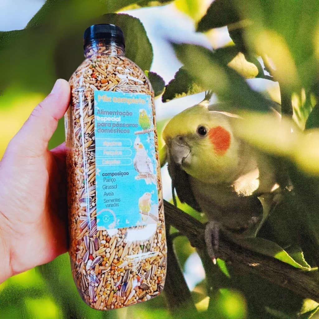 Raçao de aves Sementes para Calopsita - Alimento Nutritivo e Balanceado para Pássaros