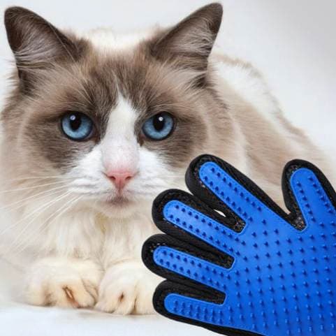 Luva Removedora de Pelos para Câes e Gatos