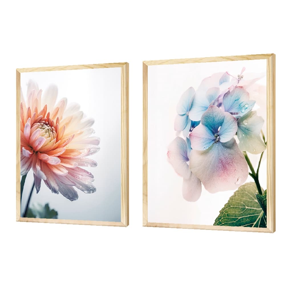 Dupla Quadros Decorativos Flores Plantas Natureza Folhagem