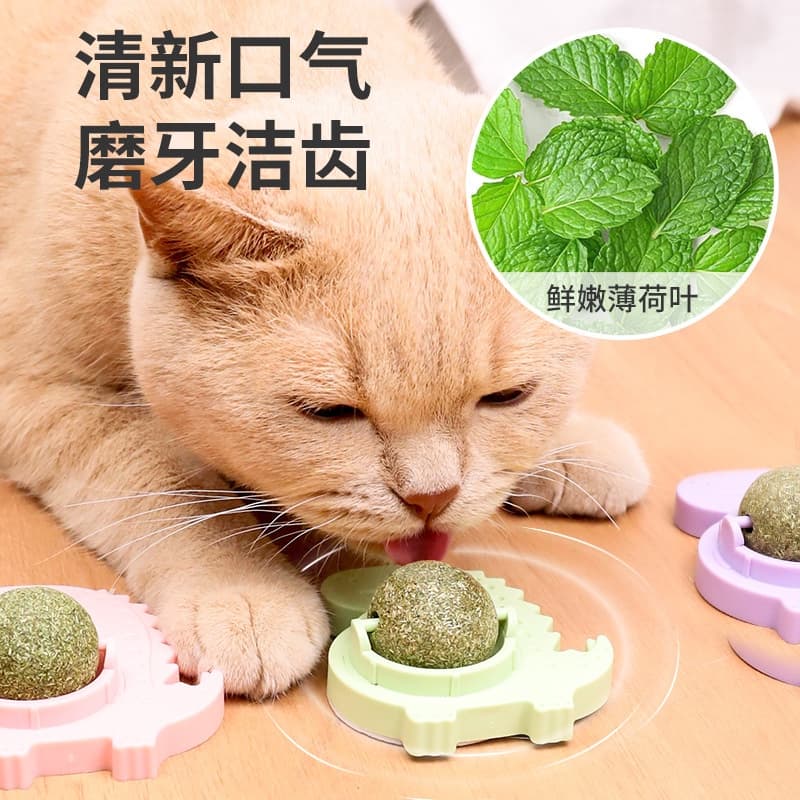 Brinquedo para Gato Brinquedo de Bola Pestisco De Menta Pet Shop Diversão Lazer