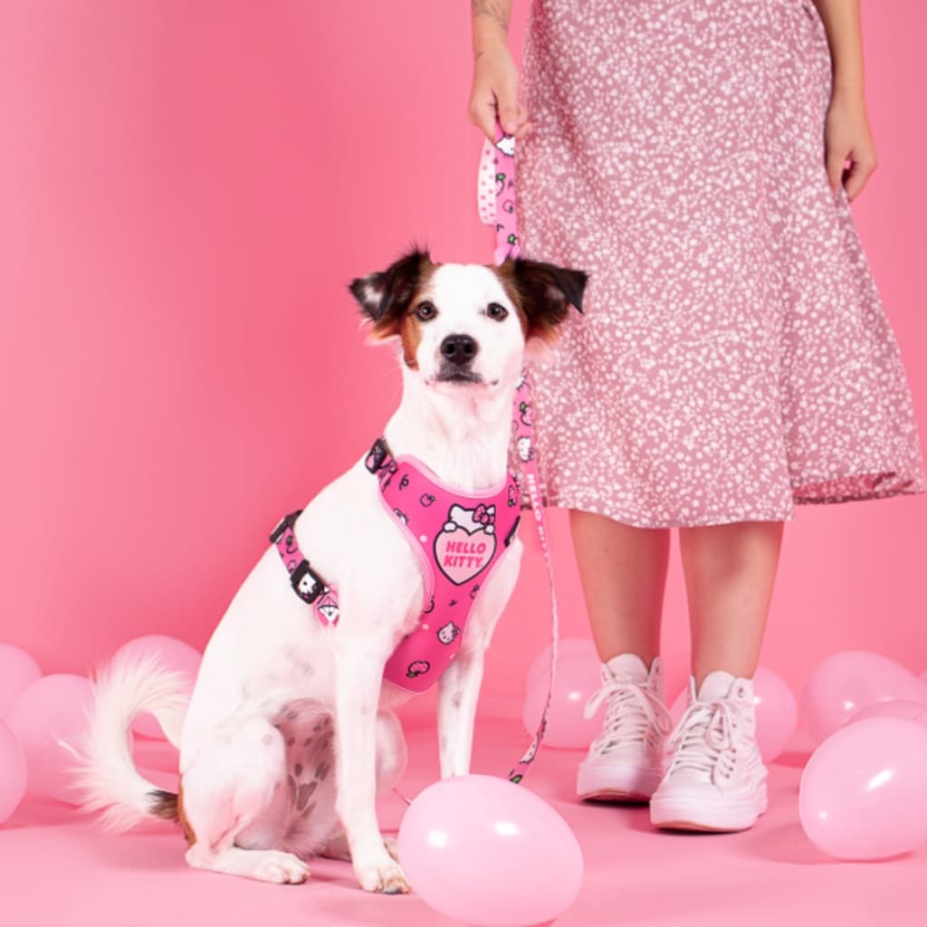 Coleira Para Cachorros Peitoral Air Hello Kit Freefaro Licenciado