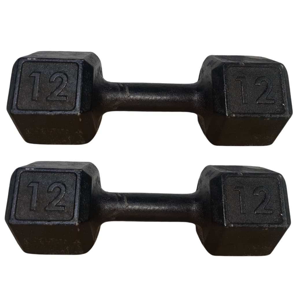 Par de Halter Sextavado Pintado 12kg Musculação Academia Casa