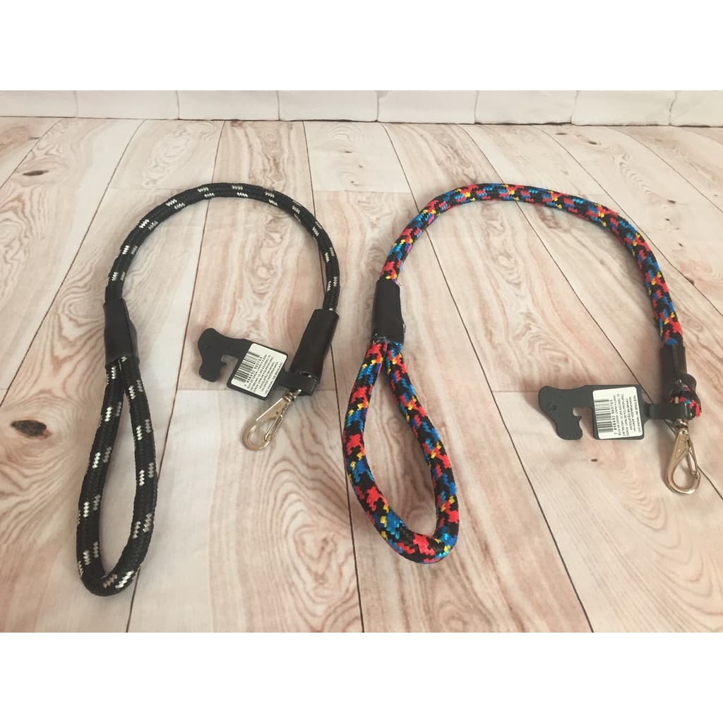 Guia para Cachorro | Cachorro | Pet | Guia