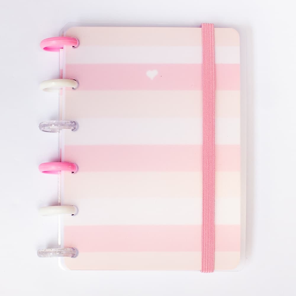 Basiquinho caderno disco inteligente pequeno - Rosa listrado
