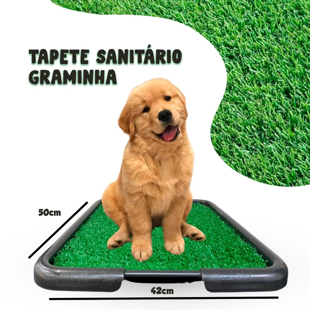 Tapete Sanitário com Graminha Xixi Pet