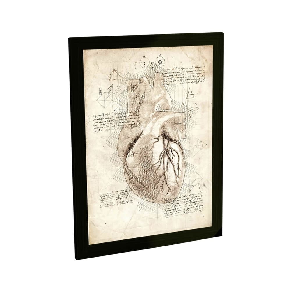 Quadro Decorativo Coração Humano Anatomia Retro Da Vinci Medicina Decoração Escritório