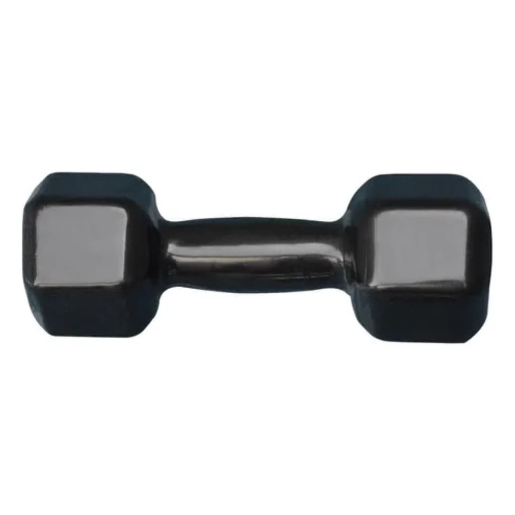 Halter Sextavado Emborrachado 12,5kgs Musculação Academia