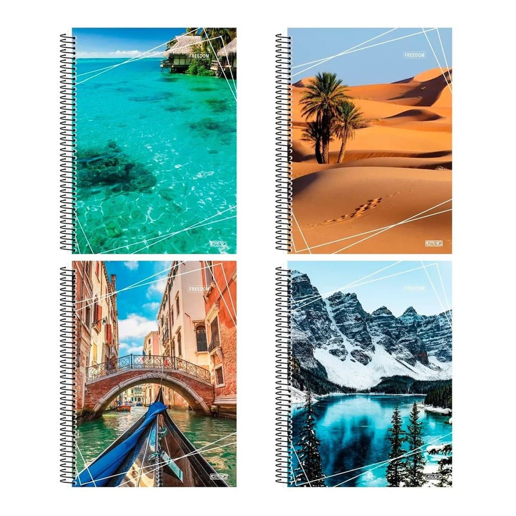 Kit 10 Cadernos Universitário 10 Matérias 4 Elementos 200fls