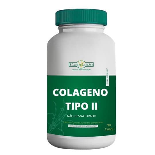 Colageno Tipo 2 40mg  90 caps