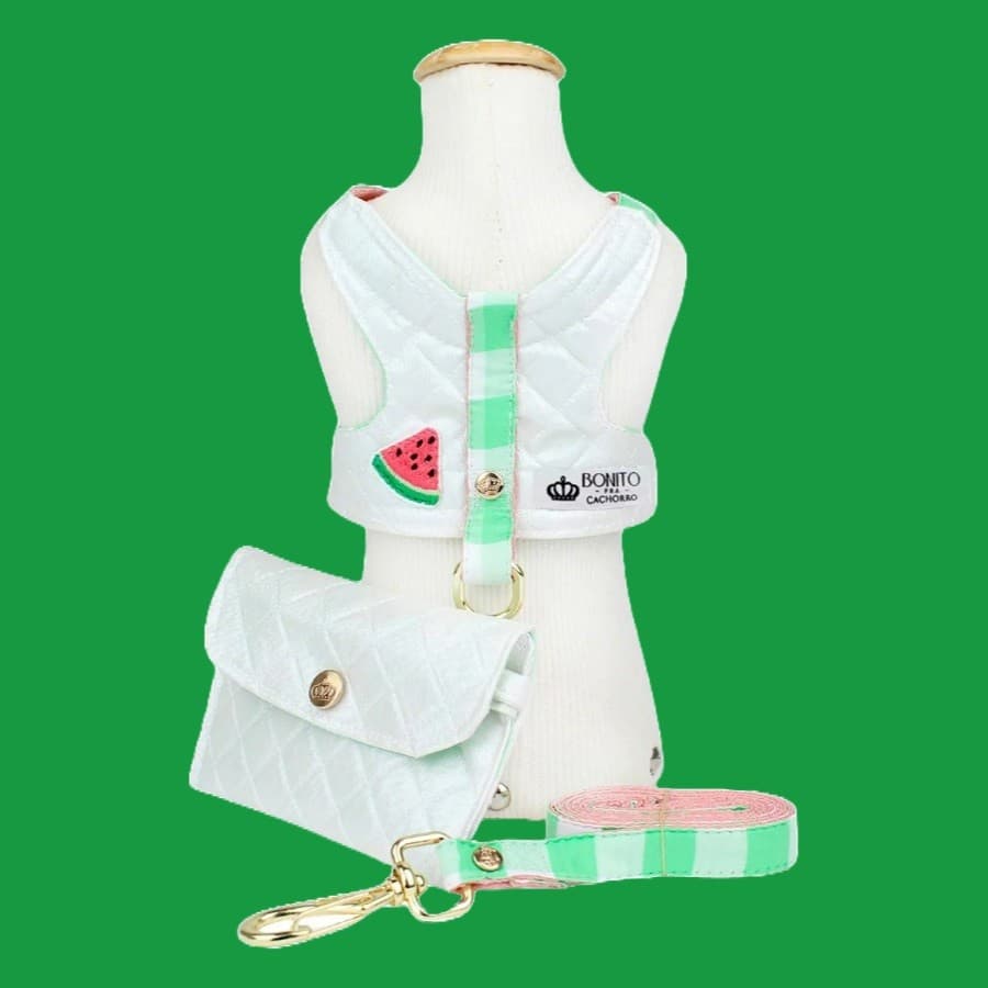 Coleira Peitoral Frutas Melancia para Cachorro Tamanho GG - Bonito pra Cachorro