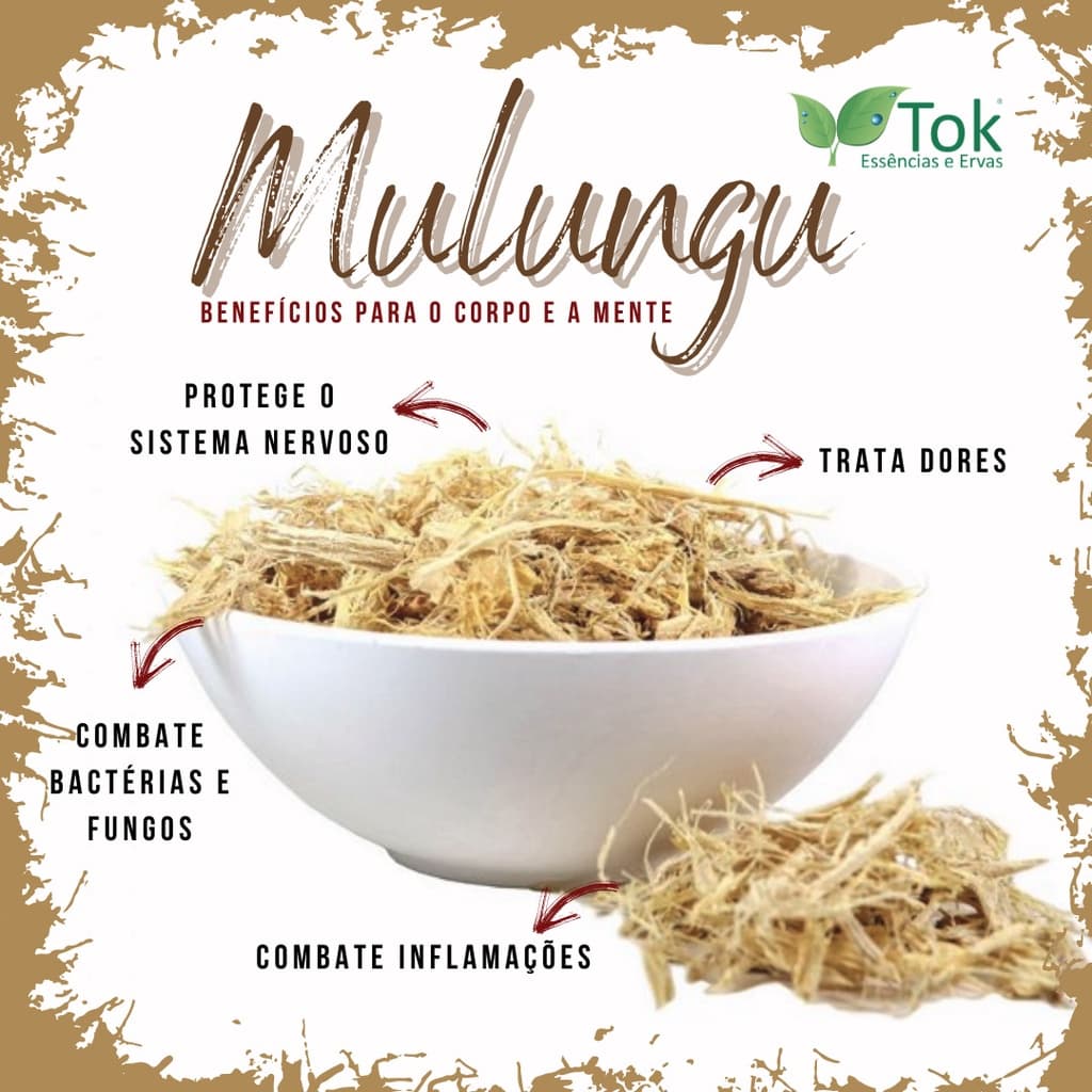 MULUNGU 100G