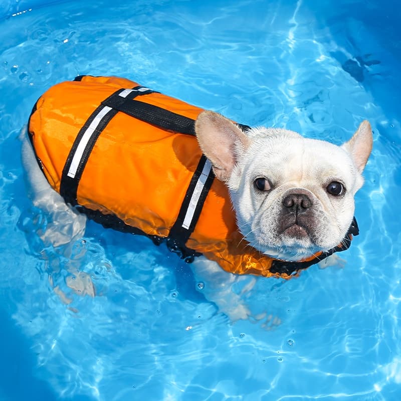 Colete Salva-Vidas Fashion Puppy Big Dog Life Jacket Summer Pet Vestuário Para Cães Médios E Grandes De Natação Roupas