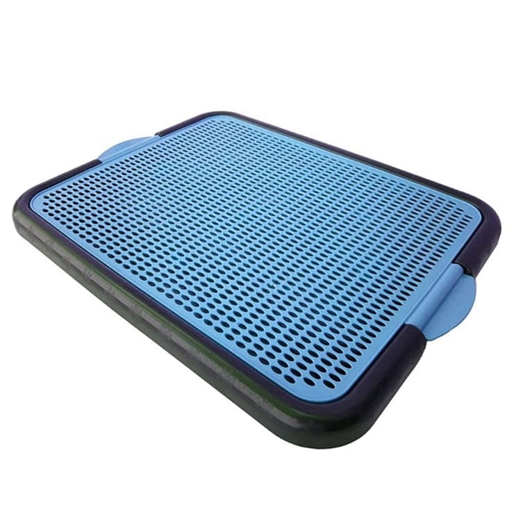 Sanitário para Cachorro | Pet | Cachorro | Banheiro para Cachorro