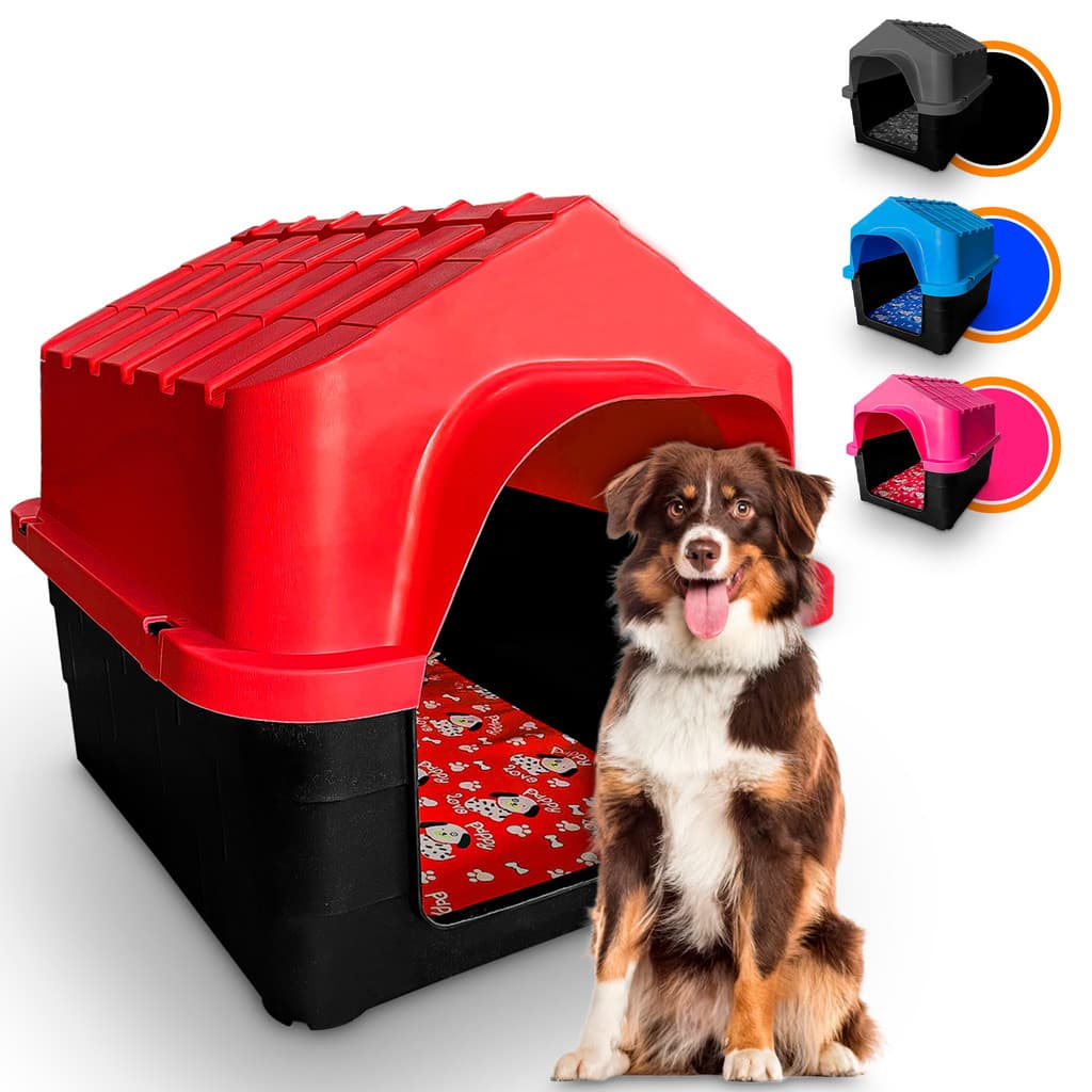 Casinha Casa Plástica Para Cachorro Porte Médio Grande Com Colchão