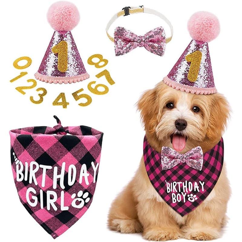 Criativo Laço De Animal De Estimação Acessórios De Pescoço Chapéu De Cachorro Decoração De Festa De Aniversário Triân