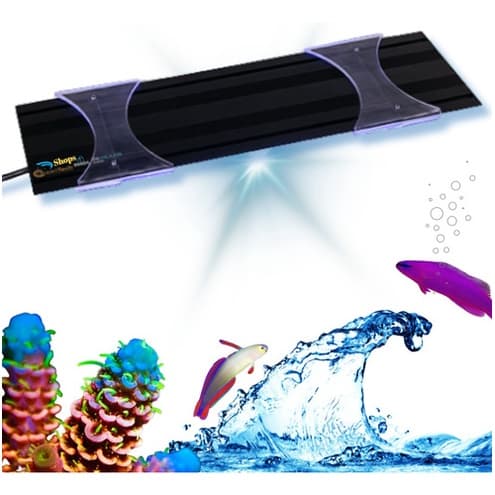 Luminária Aquário Marinho 25cm Bluetooth Nour Plus Oceantech