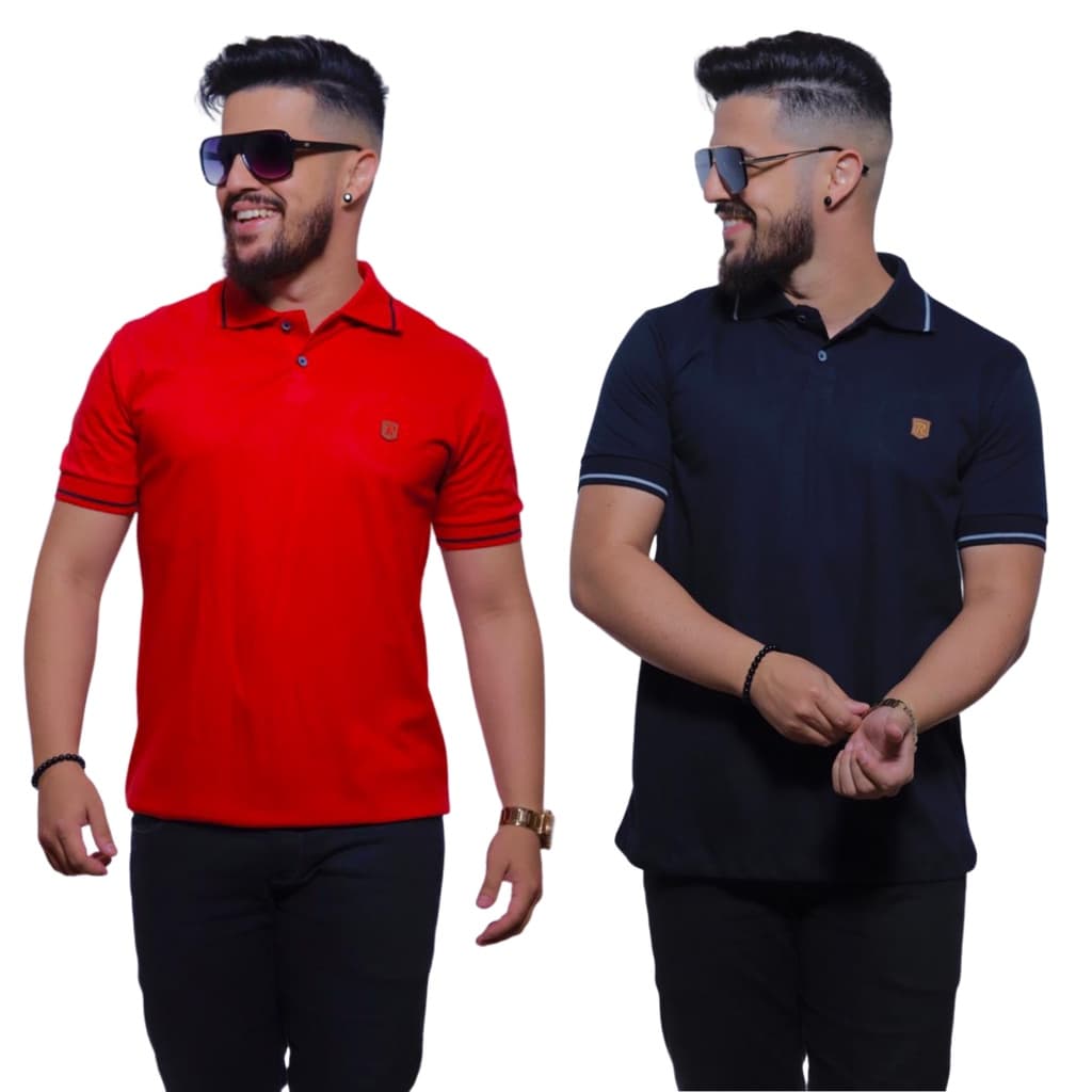 Kit com 02 Camisetas Polo Masculina Básica 100% Algodão ( Cores Variadas )