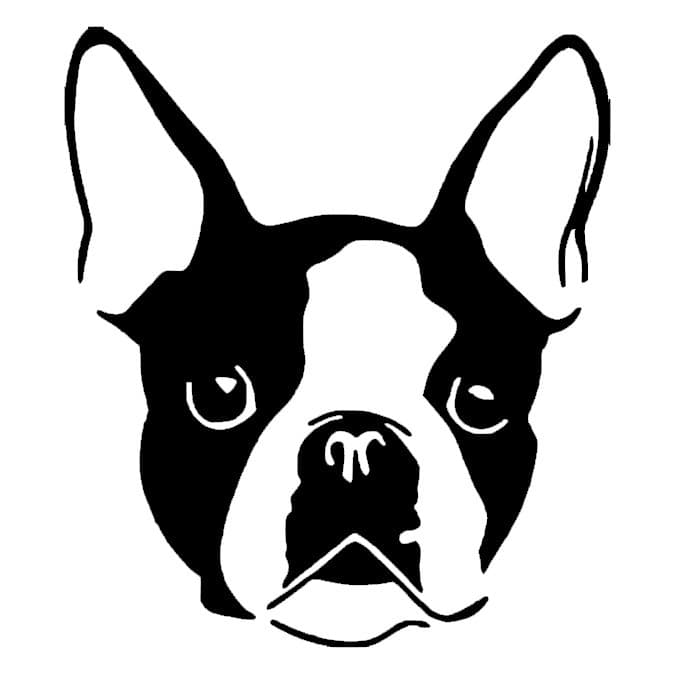 Adesivo Carro Bulldog Francês Cachorro Animal de Estimação