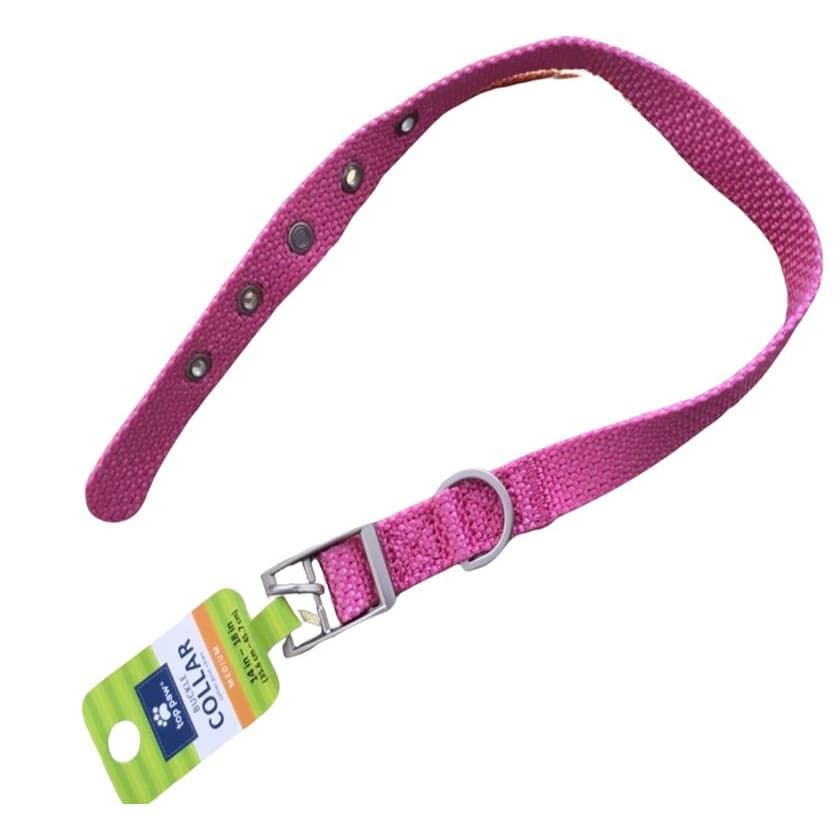 Coleira Com Fivela de Osso Top Paw Para Cachorro 25 a 35cm