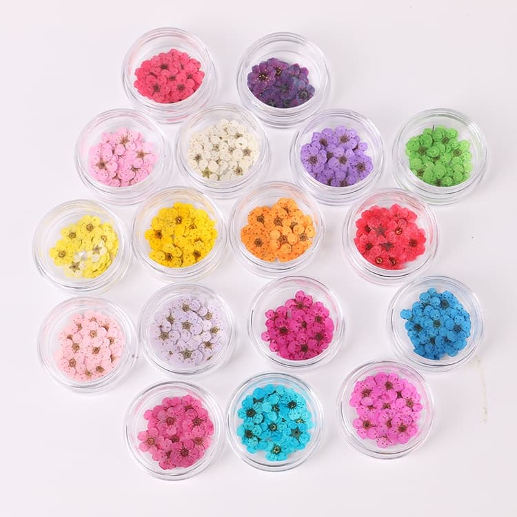 20PCS Arte De Unha Bordado Flor Seca Fio Crisântemo De Ameixa Pequena Narciso Em Relevo Cola De Gota Caixa Telefônica DIY natural Foto Decoração Facial