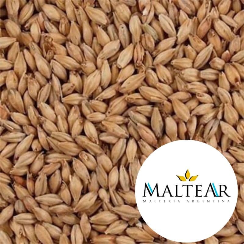 Malte Maltear Pilsen - 12kg