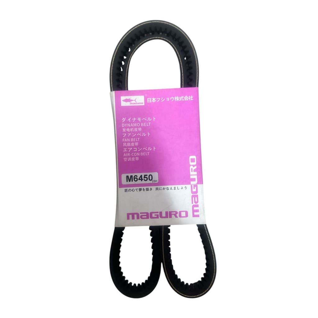 Correia Motor 13X1175 M6450