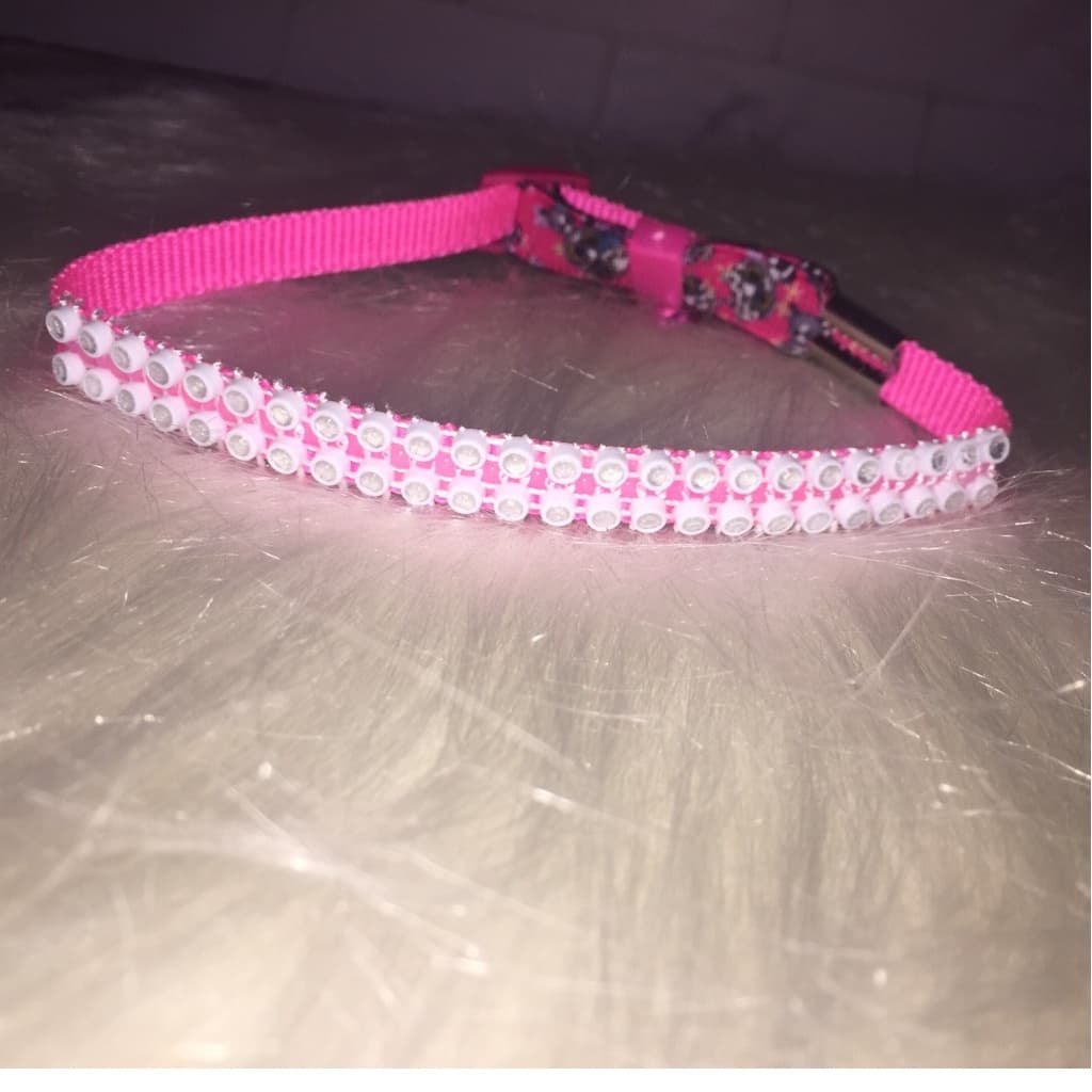 Gargantilha de Gato | Pet | Colar para Gato | Gato | Acessório para Gato | Petshop