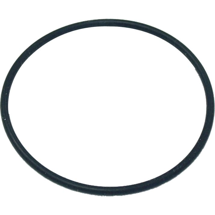 Anel O'ring HIDRO FILTROS BIG Borracha de vedação