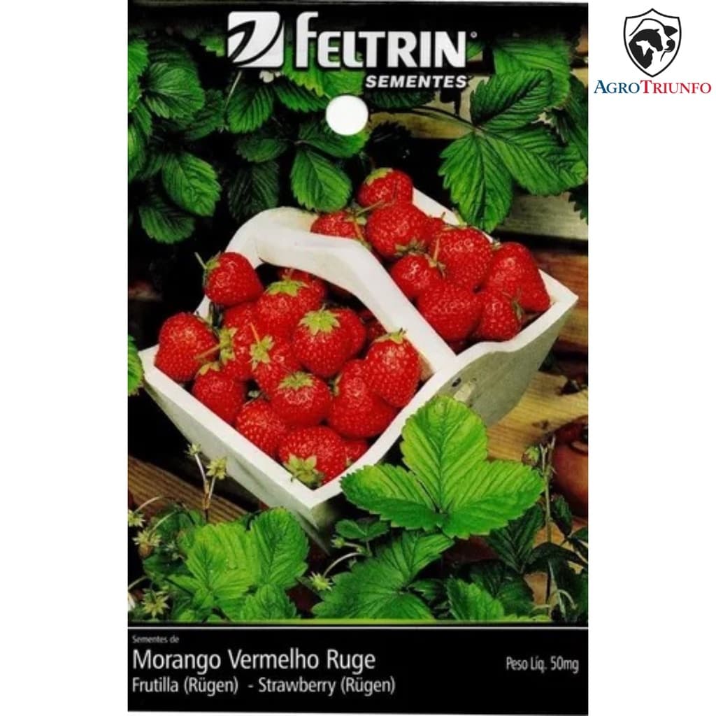 Sementes de Morango Vermelho Ruge - 50mg Feltrin