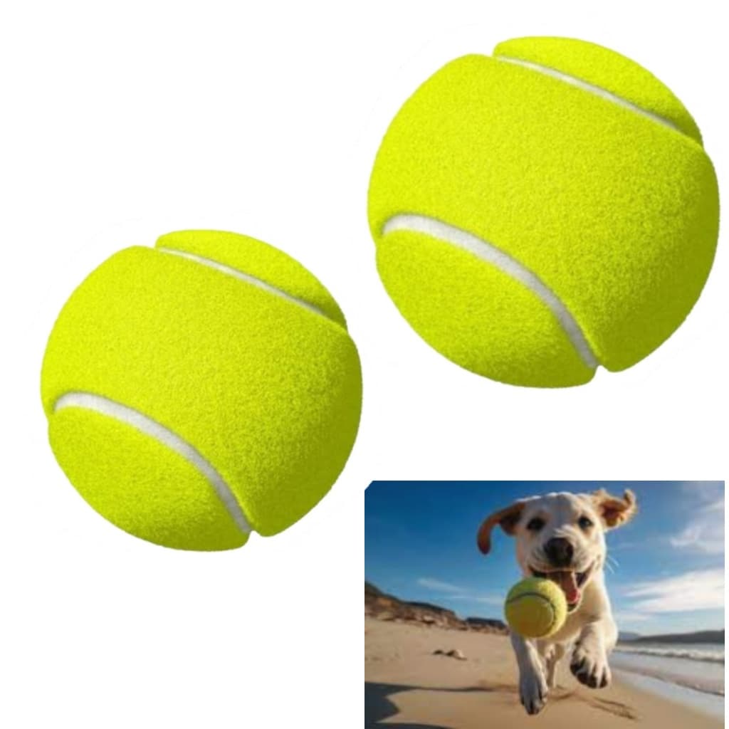 4 Bolas PET 6,5cm Um Brinquedo InovadorNão Tóxica Brinquedo