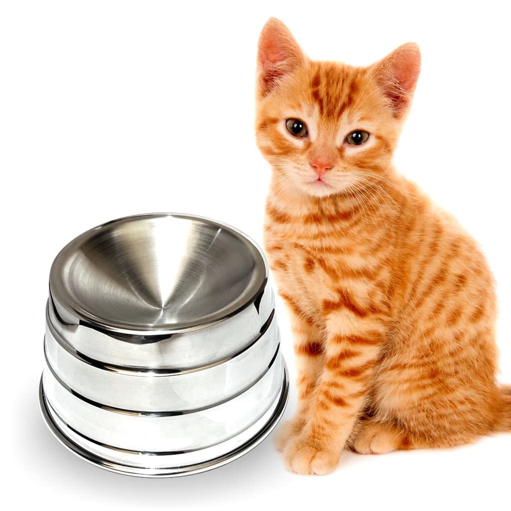 Comedouro Ergonômico Elevado Para Gatos Cat Pet