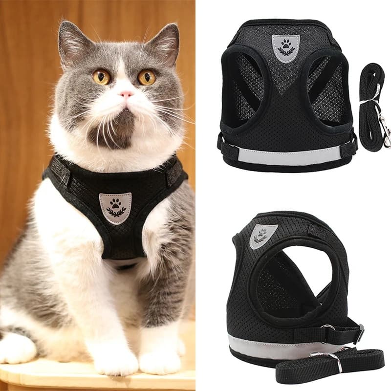 Coleira Peitoral Com Guia para Cães E Gatos Colete Respirável Regulável Super Confortável Novidade