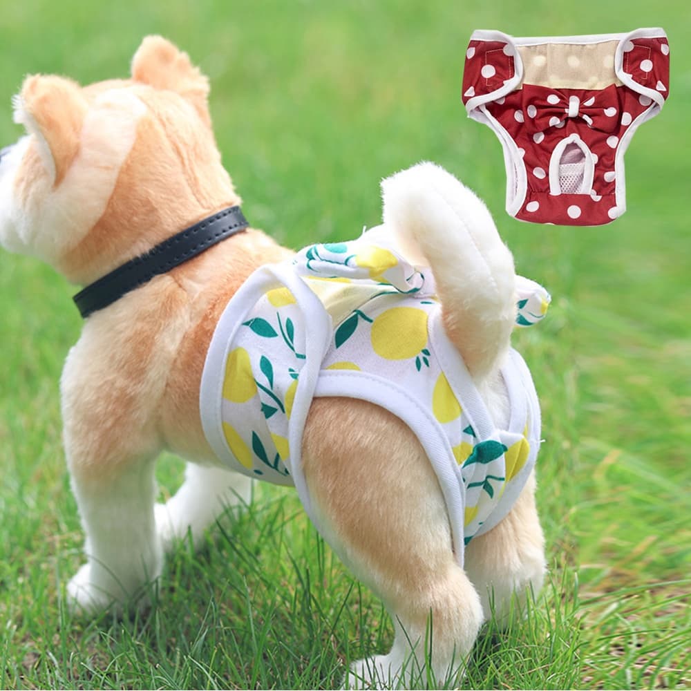 Criativo Suprimentos Para Animais De Estimação Calças Fofas De Cachorro Princesas Calcinhas Roupas Com Nó De Laço Respirável Acessórios