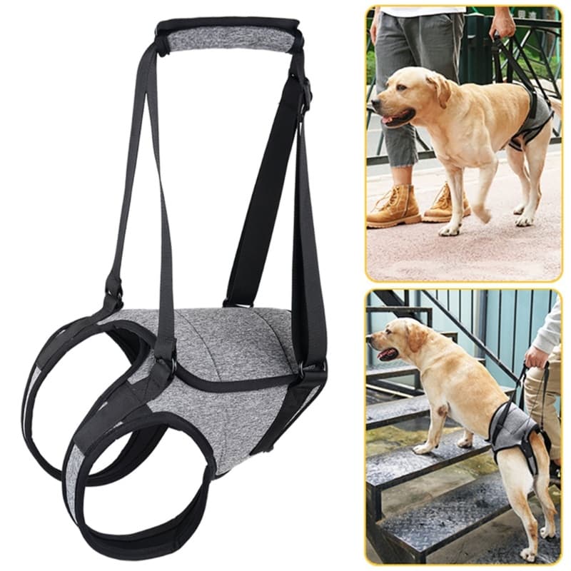Alilin Arnês Para Elevação De Cães Com Suporte Costas Idosos Feridos , Suprimentos Animais De Estimação Deficiência