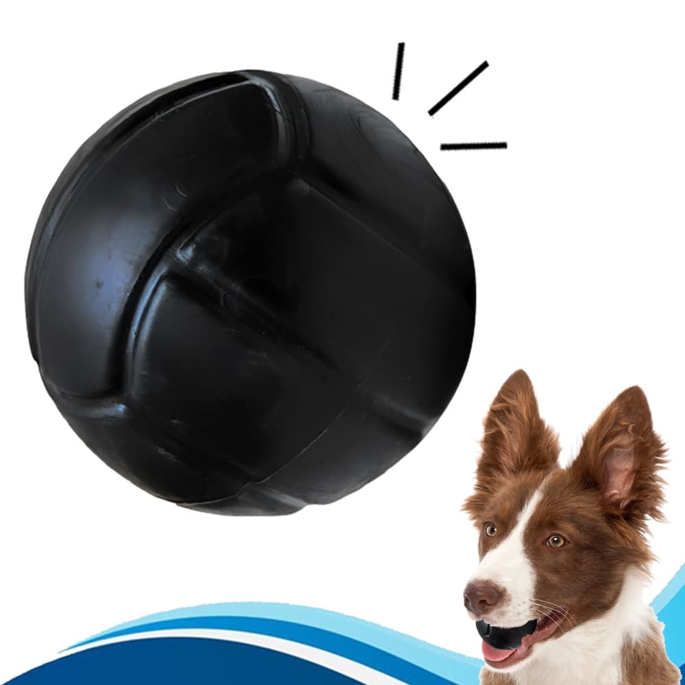 Bola Lisa para Cachorro Bolinha Maciça Cães Resistente Black