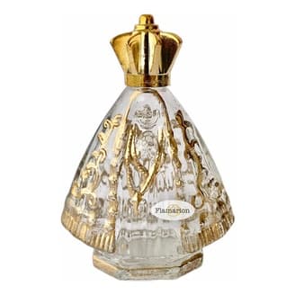 Garrafinha Nossa Senhora Aparecida Vidro Água Benta 90ml