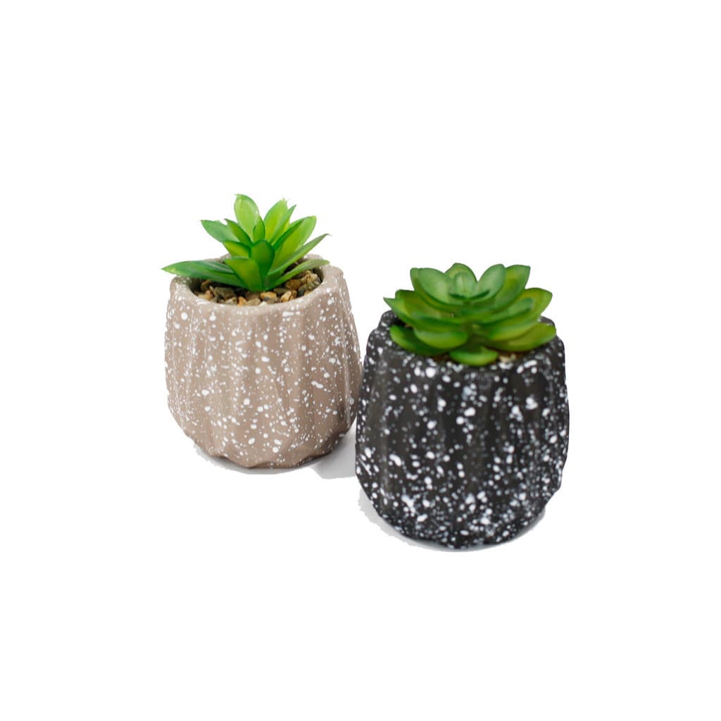 Suculenta Artificial Decorativa Com Vaso Cimento Enfeite Mesa Sala Escritório
