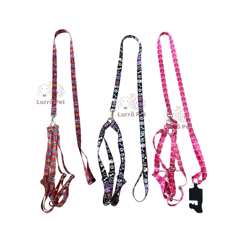 Conjunto Guia Peitoral Coleira Seda Importada Ajustável N°3 para Cachorro Pet