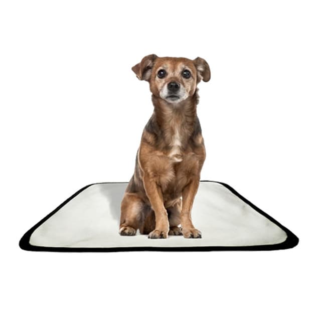 Tapete pet impermeável educador dog oferta 1 un PP 40x50cm