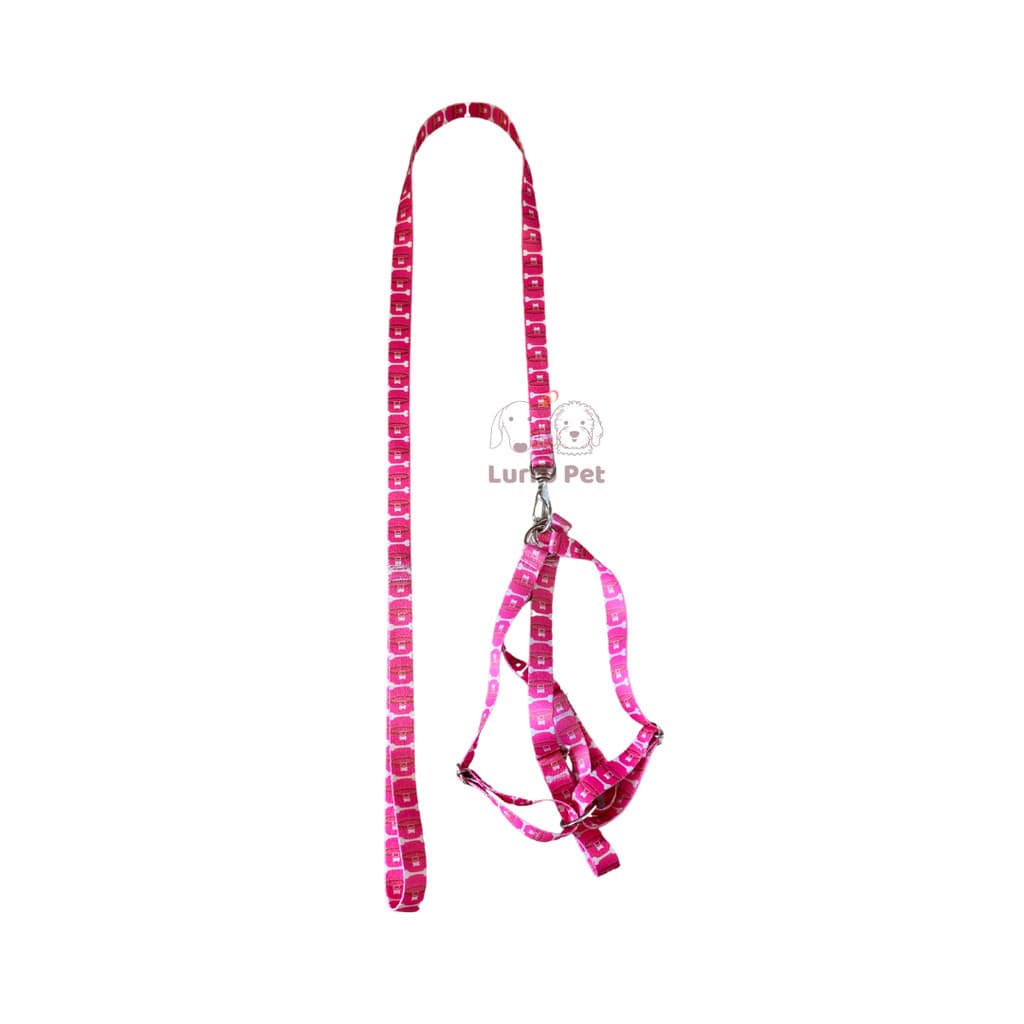 Conjunto Guia Peitoral Coleira Seda Importada Ajustável N°2 para Cachorro Pet