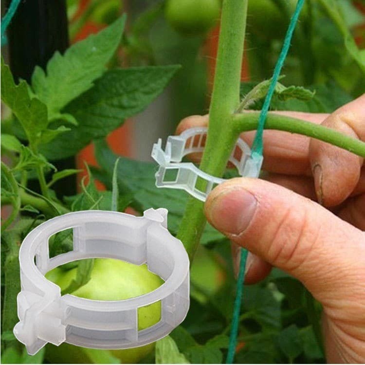 Pacote 100 - Clipes De Plantas De Plástico Amarração/Fixação De Videiras/Galhos Jardinagem