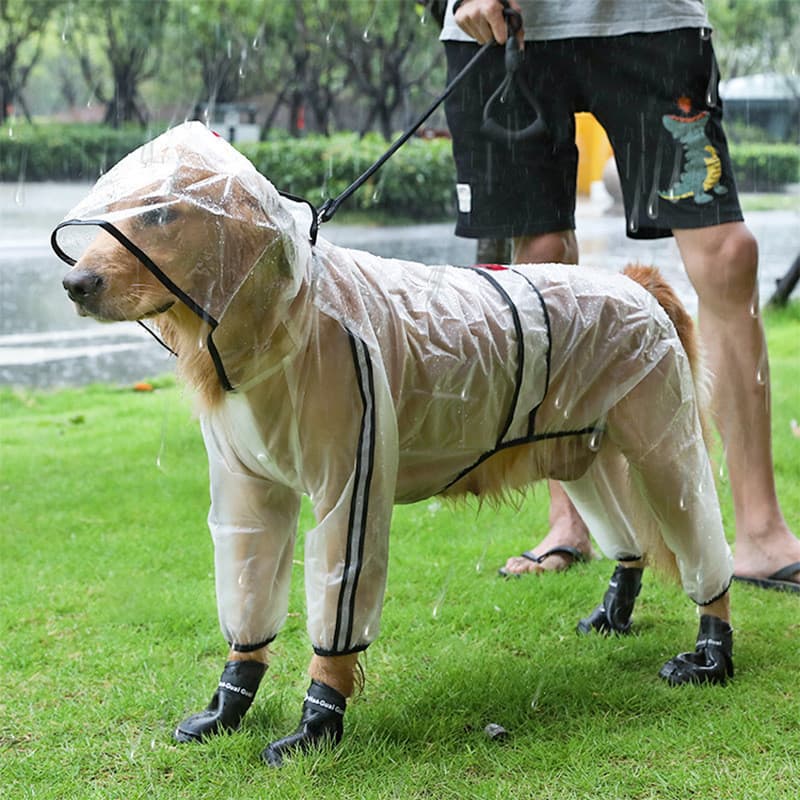 Capa De Chuva Para Cães Grandes Gatos Transparentes À Prova D'água Roupas Chuvosos Com