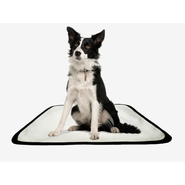 Tapete pet reutilizável educador dog oferta 2 un P1 50x70cm