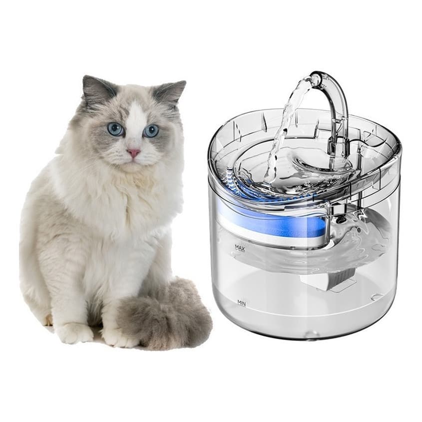 Fonte De Água Para Gatos 2l Bebedouro Elétrico Fonte Chave