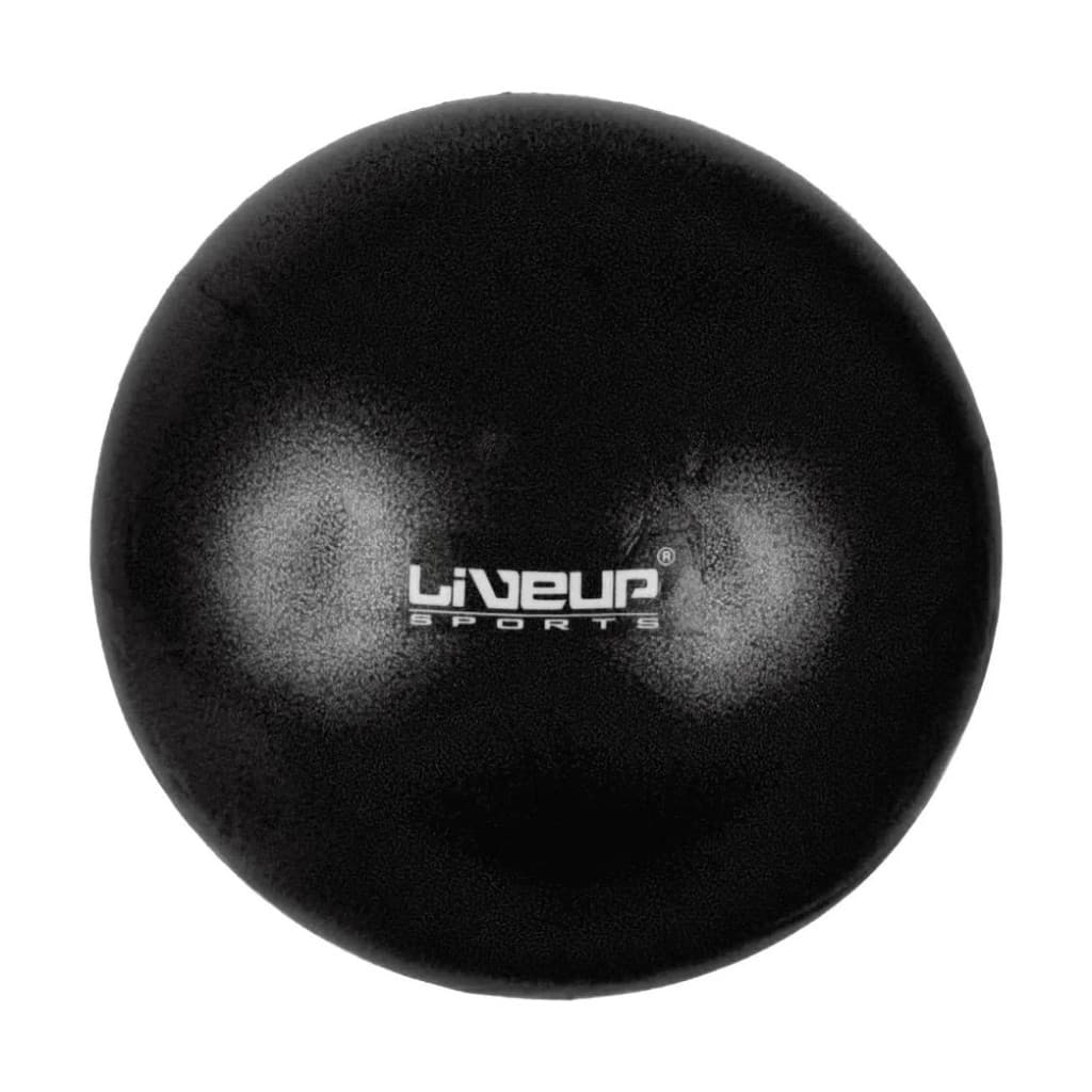 Overball Mini Bola Suiça Gym Ball Pilates Fisioterapia 25cm Preta Liveup